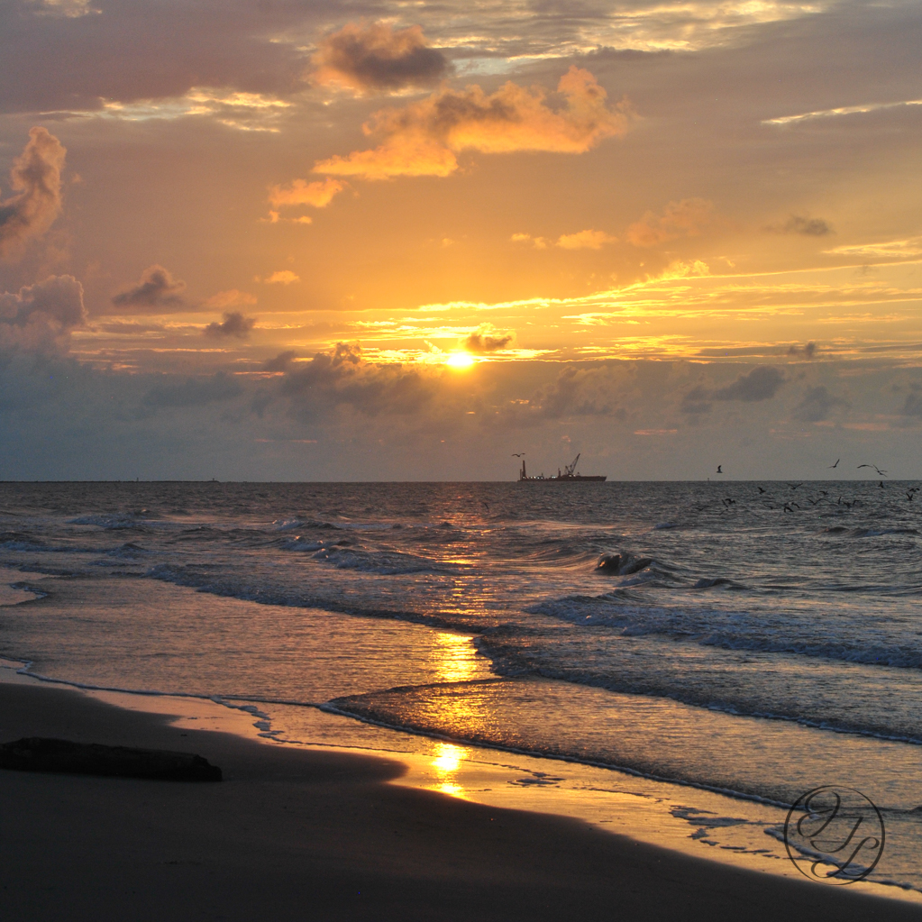 cloudy sunrise over the gulf of Mexico with a fishing boat in the far distance and sea birds flocking off to the right, the surf is calm and the sun is reflecting on the water a piece of drift wood is on the shore to the left, and a cursive JTL in a circle logo in the bottom right corner