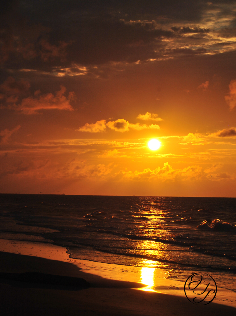golden sunrise over the gulf of Mexico with cursive JTL Logo in the bottom Right corner