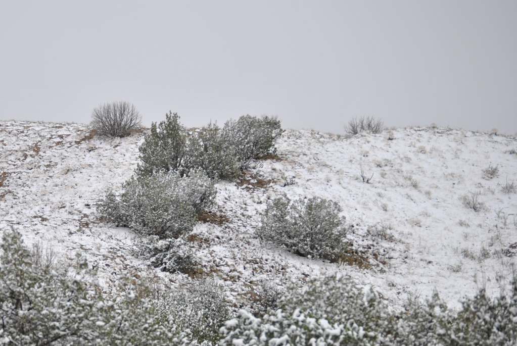 snow dusted on a new mexico hill side