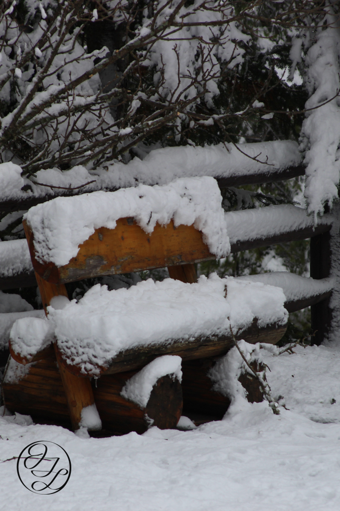 A snowy wooden bench in front of a snow covered fence , and a connected cursive encircled JTL in the bottom left corner.