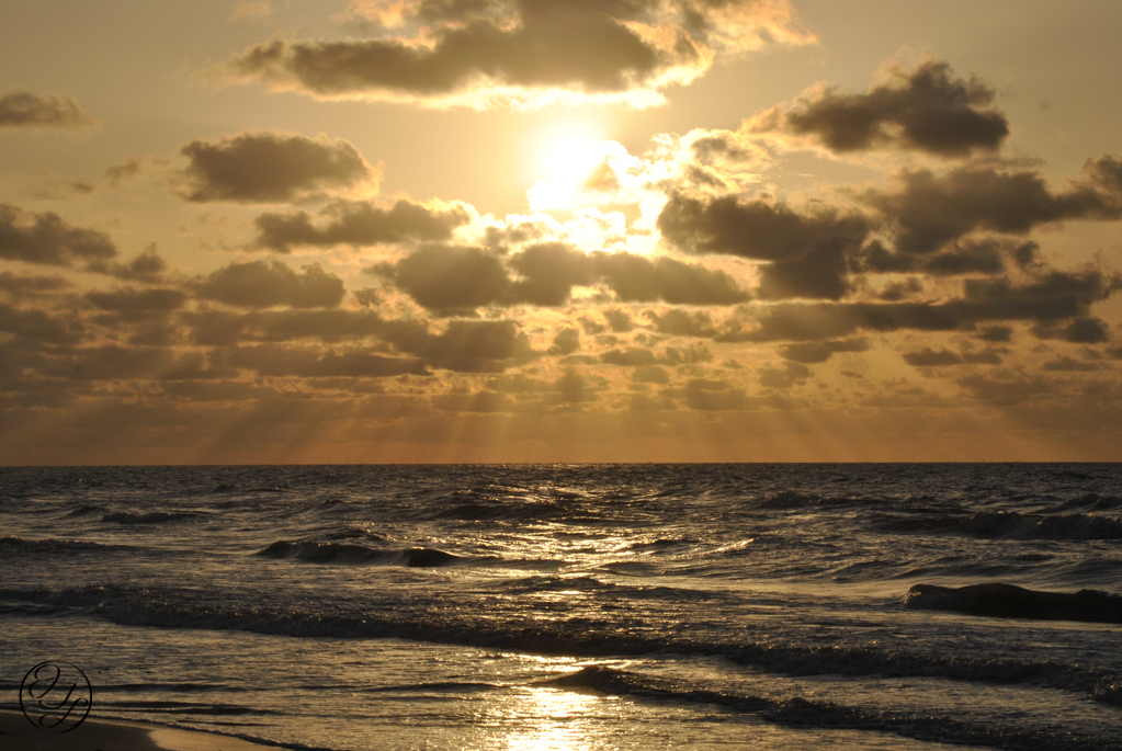 sun rise with golden sun beams shining over a beach at the gulf of Mexico, and a cursive and connected JTL in a circle in the bottom left corner.