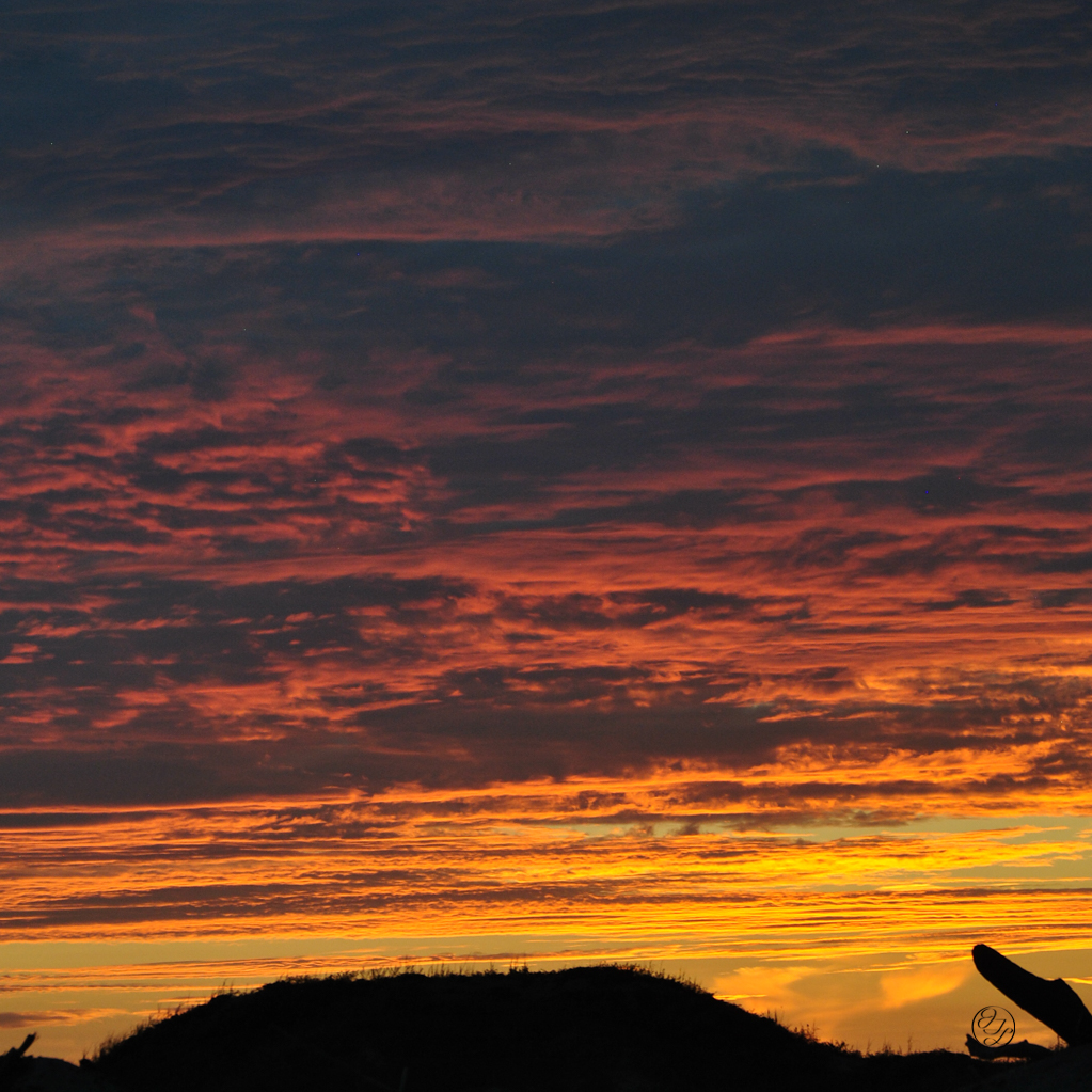 a fiery sunset on the gulf coast with a sand dune and drift wood in the silhouette and a with a connected cursive encircled JTL in the lower right corner of the picture