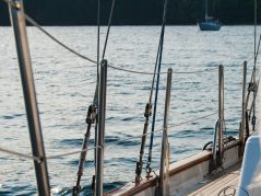 safety stays on a sail boat with water beyond and a anchored sail boat in the background with a back drop of lush green trees cursive JTL in circle water mark in the lower right corner