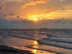 cloudy sunrise over the gulf of Mexico with a fishing boat in the far distance and sea birds flocking off to the right, the surf is calm and the sun is reflecting on the water a piece of drift wood is on the shore to the left, and a cursive JTL in a circle logo in the bottom right corner