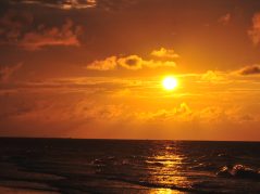 golden sunrise over the gulf of Mexico with cursive JTL Logo in the bottom Right corner