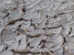 crack, dry, and, rolled up soil with a cursive connected and circled JTL logo in the top right corner
