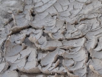 death Wk w_ WM sq. crack, dry, and, rolled up soil with a cursive connected and circled JTL logo in the top right corner