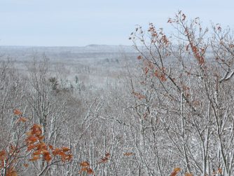 {{brizy_dc_image_alt entityId=