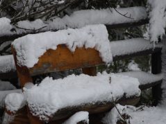 A snowy wooden bench in front of a snow covered fence , and a connected cursive encircled JTL in the bottom left corner.