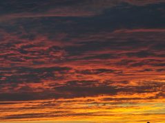 a fiery sunset on the gulf coast with a sand dune and drift wood in the silhouette and a with a connected cursive encircled JTL in the lower right corner of the picture
