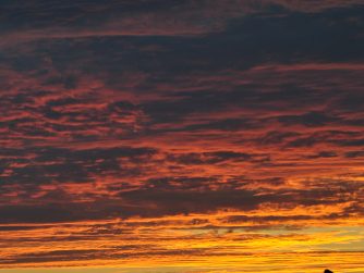 a fiery sunset on the gulf coast with a sand dune and drift wood in the silhouette and a with a connected cursive encircled JTL in the lower right corner of the picture